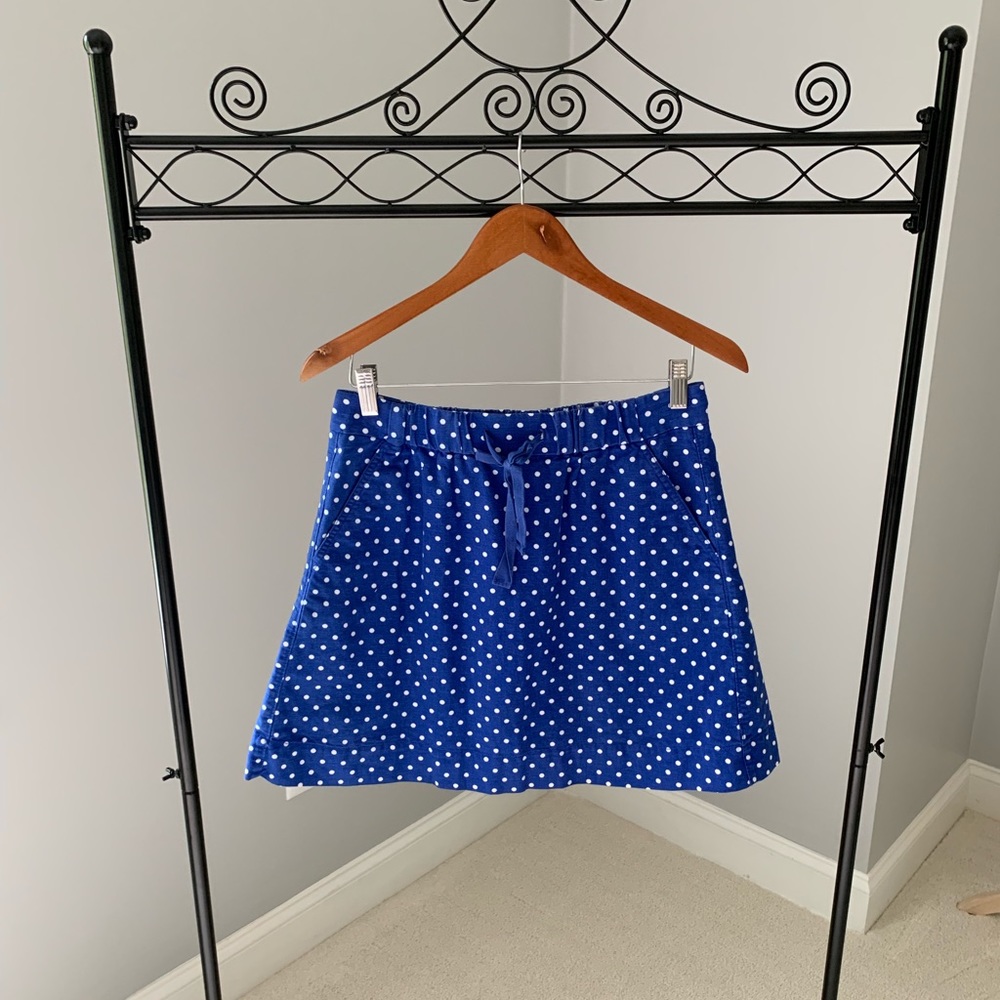 J. Crew blue and white mini skirt